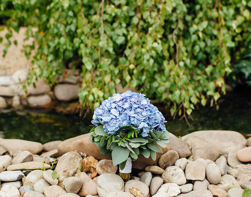 Landscaping Company