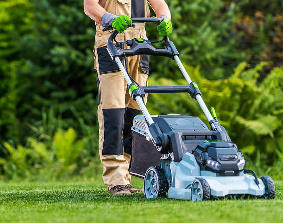 Window Cleaning Services